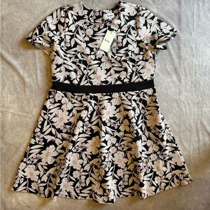 Leota Black and White Fit and Flare Dress with Puff Sleeves